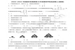 2022-2023年榆林市高新區(qū)小升初數(shù)學(xué)考試試卷真題及答案(人教版)