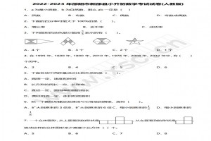 2022-2023年邵陽市新邵縣小升初數(shù)學考試試卷真題及答案(人教版)