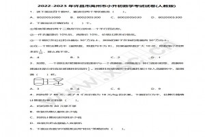 2022-2023年許昌市禹州市小升初數(shù)學(xué)考試試卷真題及答案(人教版)