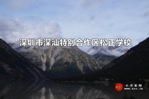 深圳市深汕特別合作區(qū)松正學(xué)校收費(fèi)標(biāo)準(zhǔn)(學(xué)費(fèi))及學(xué)校簡(jiǎn)介