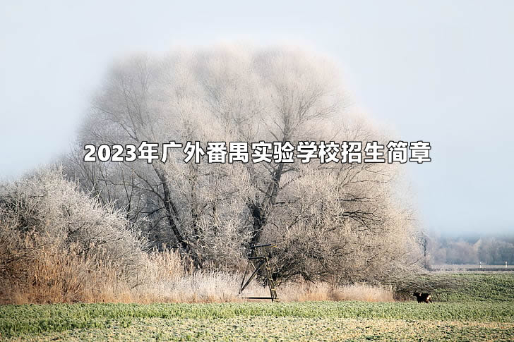 2023年廣外番禺實(shí)驗(yàn)學(xué)校招生簡(jiǎn)章.jpg