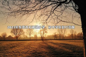 2023年?yáng)|莞市石碣鎮(zhèn)小學(xué)、初中學(xué)區(qū)劃片范圍(招生劃片范圍)