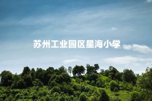 2023年蘇州工業(yè)園區(qū)星海小學(xué)招生簡(jiǎn)章(附招生范圍)