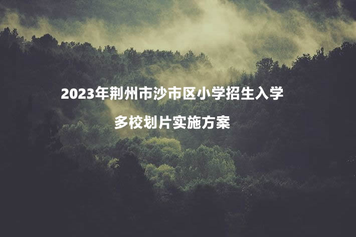 2023年荊州市沙市區(qū)小學(xué)招生入學(xué)多校劃片實(shí)施方案.jpg