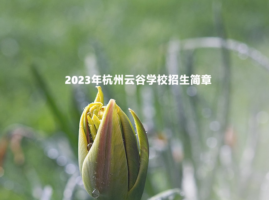 2023年杭州云谷學(xué)校招生簡章.jpg