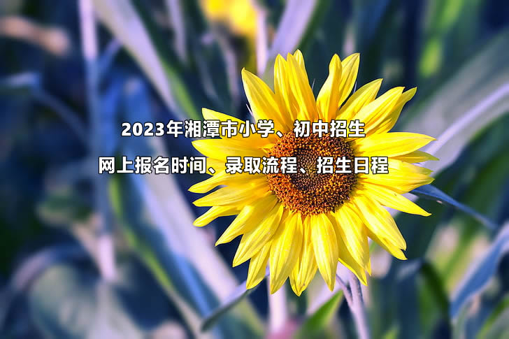 2023年湘潭市小學(xué)、初中招生網(wǎng)上報名時間、錄取流程、招生日程.jpg