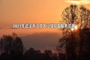 2023年武漢市江岸區(qū)小學(xué)招生服務(wù)范圍(劃片范圍)一覽