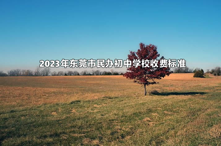 2023年?yáng)|莞市民辦初中學(xué)校收費(fèi)標(biāo)準(zhǔn).jpg