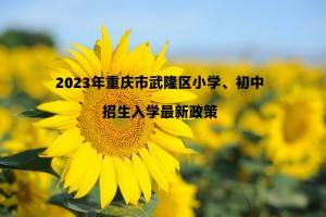 2023年重慶市武隆區(qū)小學(xué)、初中招生入學(xué)最新政策