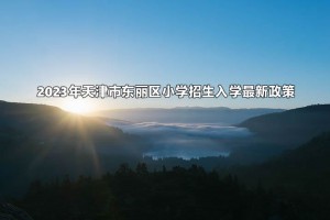 2023年天津市東麗區(qū)小學(xué)招生入學(xué)最新政策