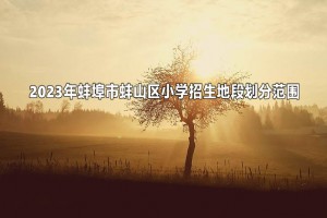 2023年蚌埠市蚌山區(qū)小學(xué)招生地段劃分范圍一覽表