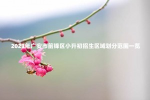 2023年廣安市前鋒區(qū)小升初招生區(qū)域劃分范圍一覽