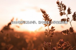 2023年廬江縣小學(xué)、初中招生入學(xué)最新政策