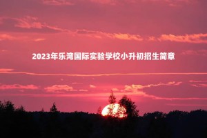 2023年樂灣國際實(shí)驗(yàn)學(xué)校小升初招生簡章(含收費(fèi)標(biāo)準(zhǔn))