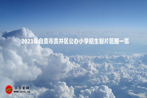 2023年自貢市貢井區(qū)公辦小學招生劃片范圍一覽