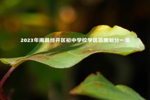 2023年南昌經(jīng)開區(qū)初中學校學區(qū)范圍劃分一覽