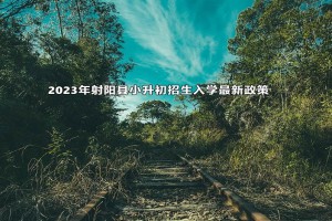 2023年射陽(yáng)縣小升初招生入學(xué)最新政策(附施教區(qū)范圍)