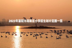 2023年襄陽市高新區(qū)小學(xué)招生劃片范圍一覽