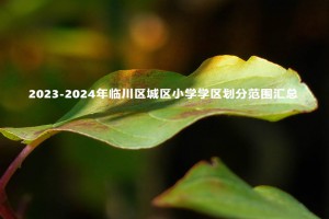 2023-2024年臨川區(qū)城區(qū)小學(xué)學(xué)區(qū)劃分范圍匯總