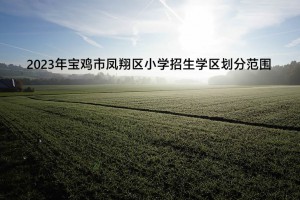 2023年寶雞市鳳翔區(qū)小學(xué)招生學(xué)區(qū)劃分范圍一覽