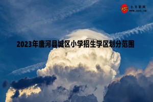 2023年唐河縣城區(qū)小學(xué)招生學(xué)區(qū)劃分范圍一覽