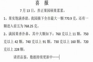 2023年晉江養(yǎng)正中學(xué)中考成績升學(xué)率(中考喜報)