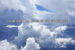 2024年馬鞍山市雨山區(qū)公辦初中招生學(xué)區(qū)劃分范圍一覽