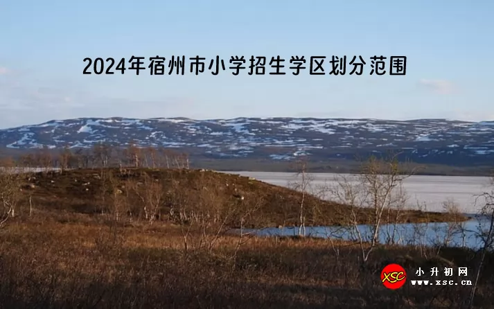 2024年宿州市小學招生學區(qū)劃分范圍一覽