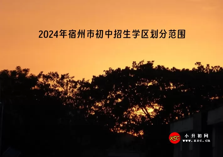 2024年宿州市初中招生學區(qū)劃分范圍一覽