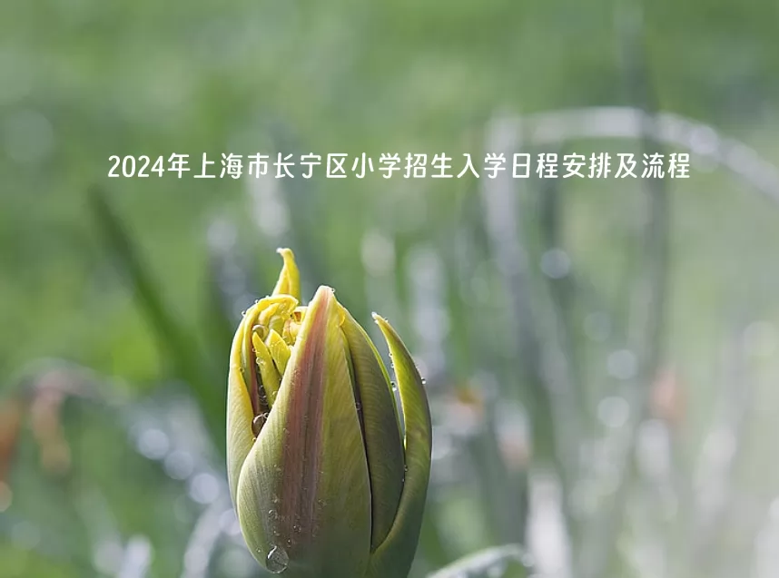 2024年上海市長(zhǎng)寧區(qū)小學(xué)招生入學(xué)日程安排及流程一覽