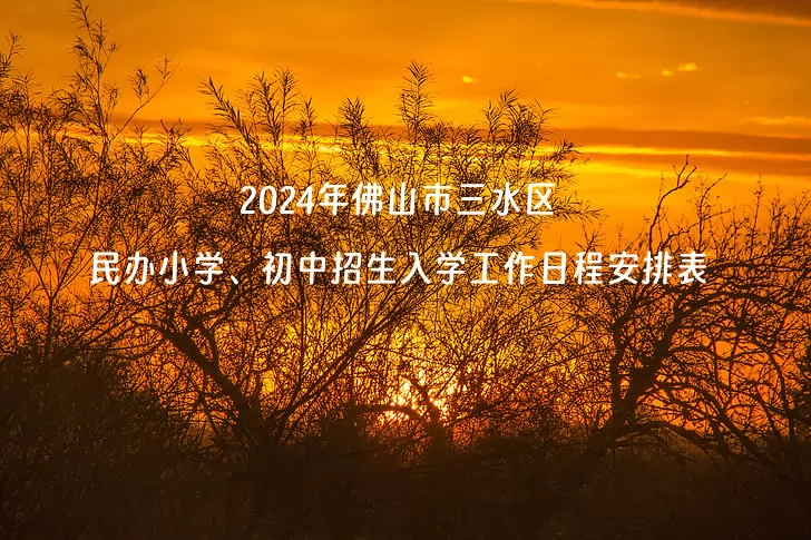 2024年佛山市三水區(qū)民辦小學(xué)、初中招生入學(xué)工作日程安排表