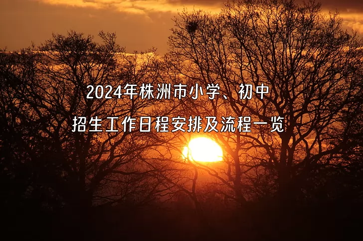 2024年株洲市小學(xué)、初中招生工作日程安排及流程一覽