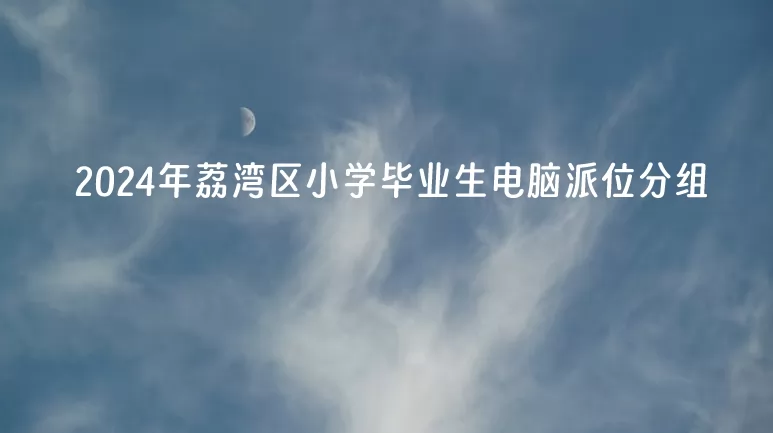 2024年廣州市荔灣區(qū)小學(xué)畢業(yè)生電腦派位分組(初中對口小學(xué))