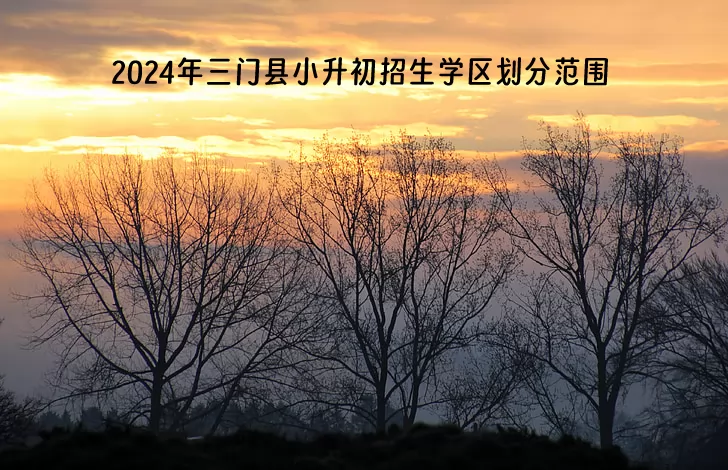 2024年三門縣小升初招生學(xué)區(qū)劃分范圍一覽