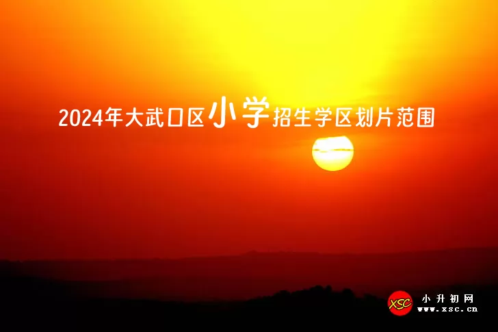 2024年大武口區(qū)小學(xué)招生學(xué)區(qū)劃片范圍一覽表.jpg