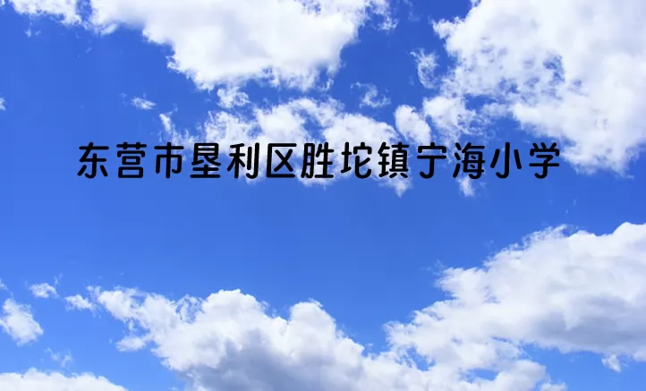 2024年東營市墾利區(qū)勝坨鎮(zhèn)寧海小學(xué)招生簡章(附招生范圍)