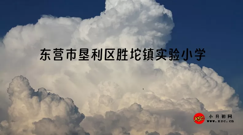 2024年東營市墾利區(qū)勝坨鎮(zhèn)實驗小學(xué)招生簡章(附招生范圍)