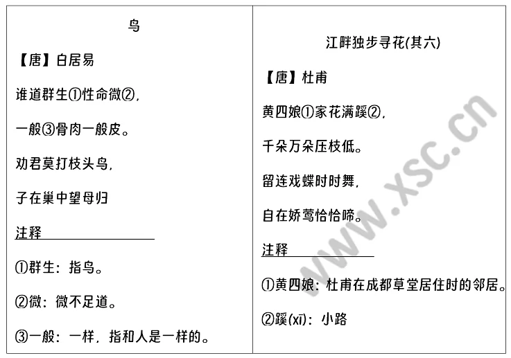 《鳥》《江畔獨步尋花·其六》閱讀理解題及答案(閱讀答案)