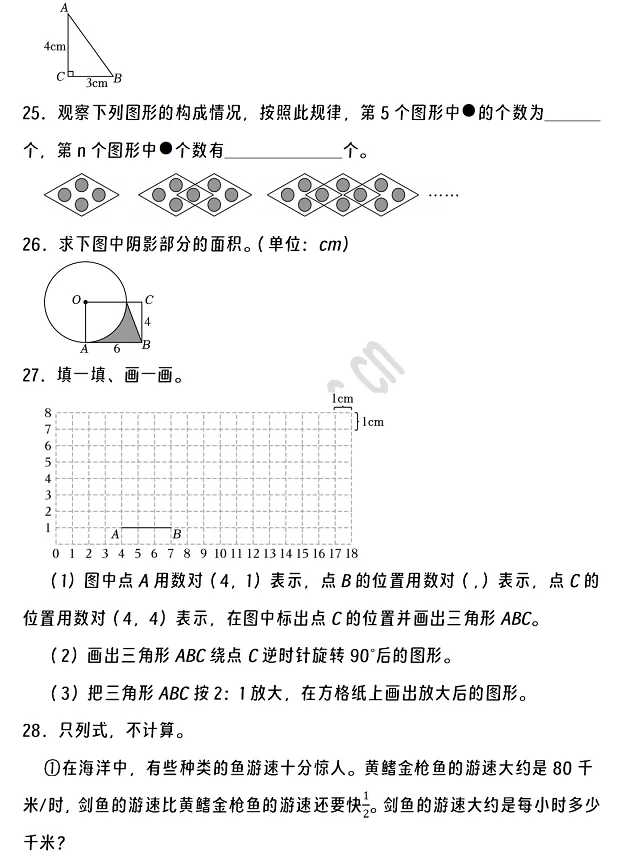 2024-2025年荊州市沙市區(qū)小升初數(shù)學考試試卷5