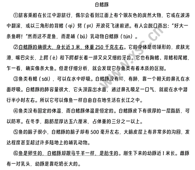 白鰭豚閱讀理解題及答案(閱讀答案二) (1).webp