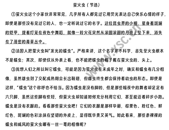 螢火蟲閱讀理解題及答案(閱讀答案)